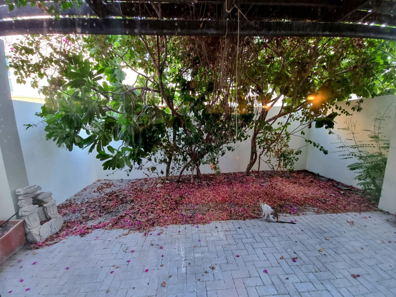 Villa for Rent in Amwaj Island Image #5009 0