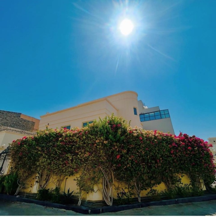 صورة فيلا للبيع في البسيتين #9278 4