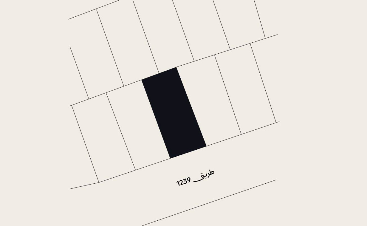 Land for Sale in Hamalah Image #9856 0
