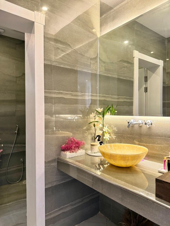 Villa for Sale in Arad Image #8143 9