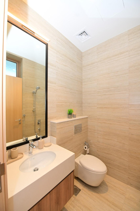 Villa for Sale in Arad Image #9887 7